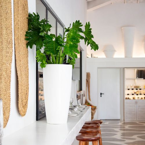 Obývák (placeholder)