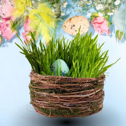 Obrázek – Velikonoce (placeholder)