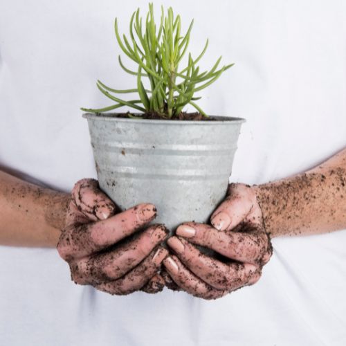 Obrázek – Přesazování (placeholder)