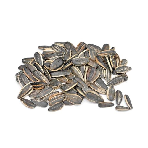 Slunečnice černá pro ptáčky