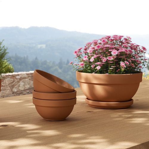 Jarní péče o rostliny – Village Style