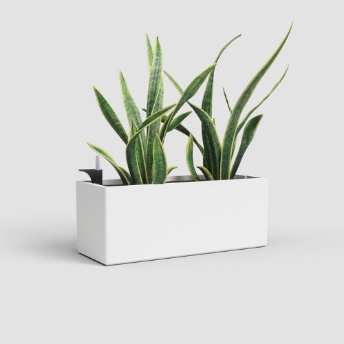 Práce v půdě – nářadí a rukavice