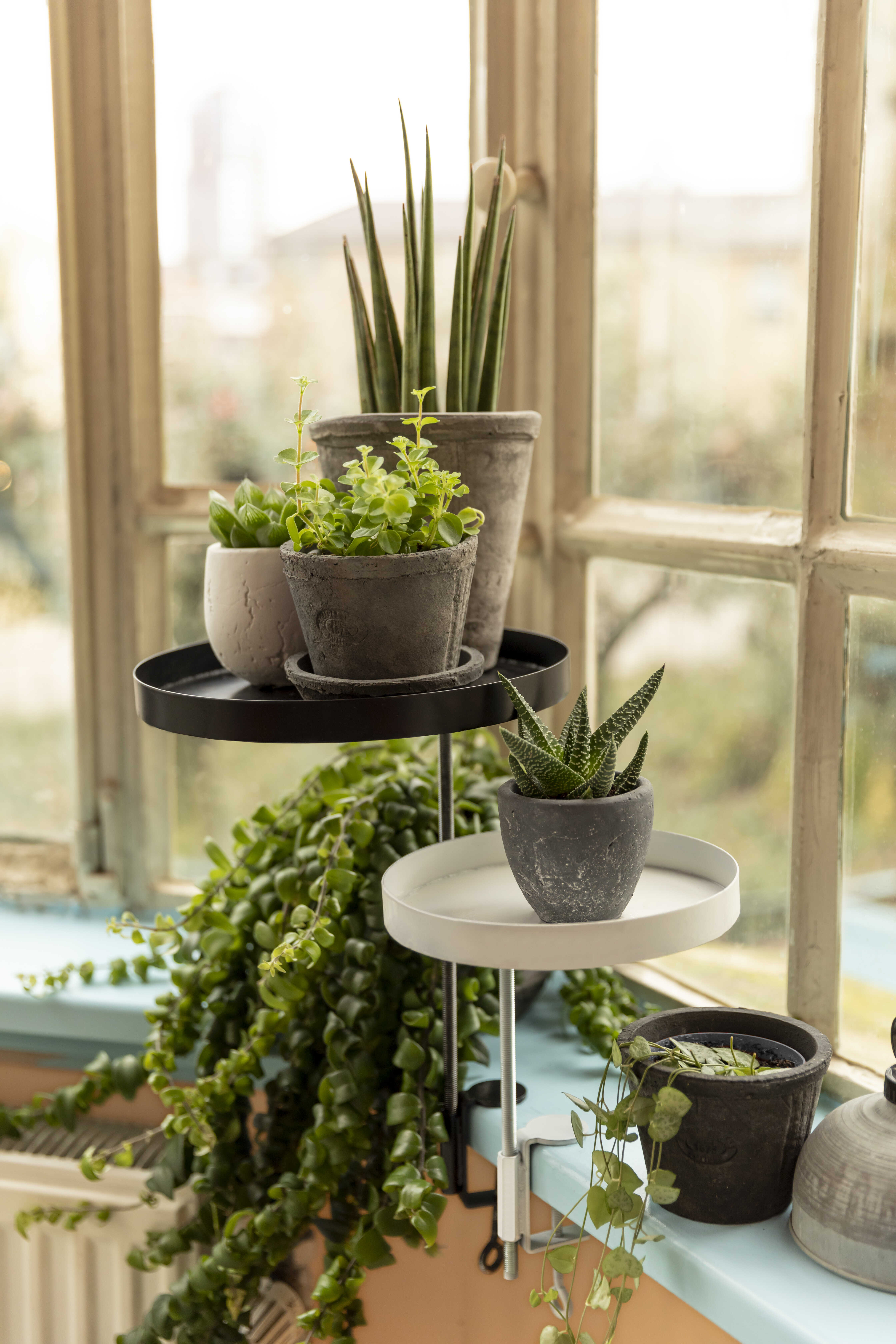 B2B nabídka – zahradnická centra