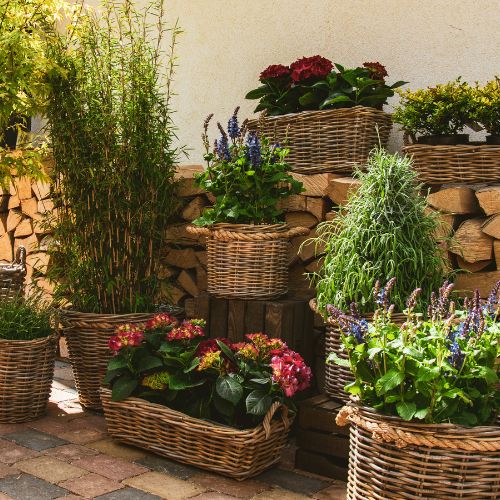 Ratanové květináče