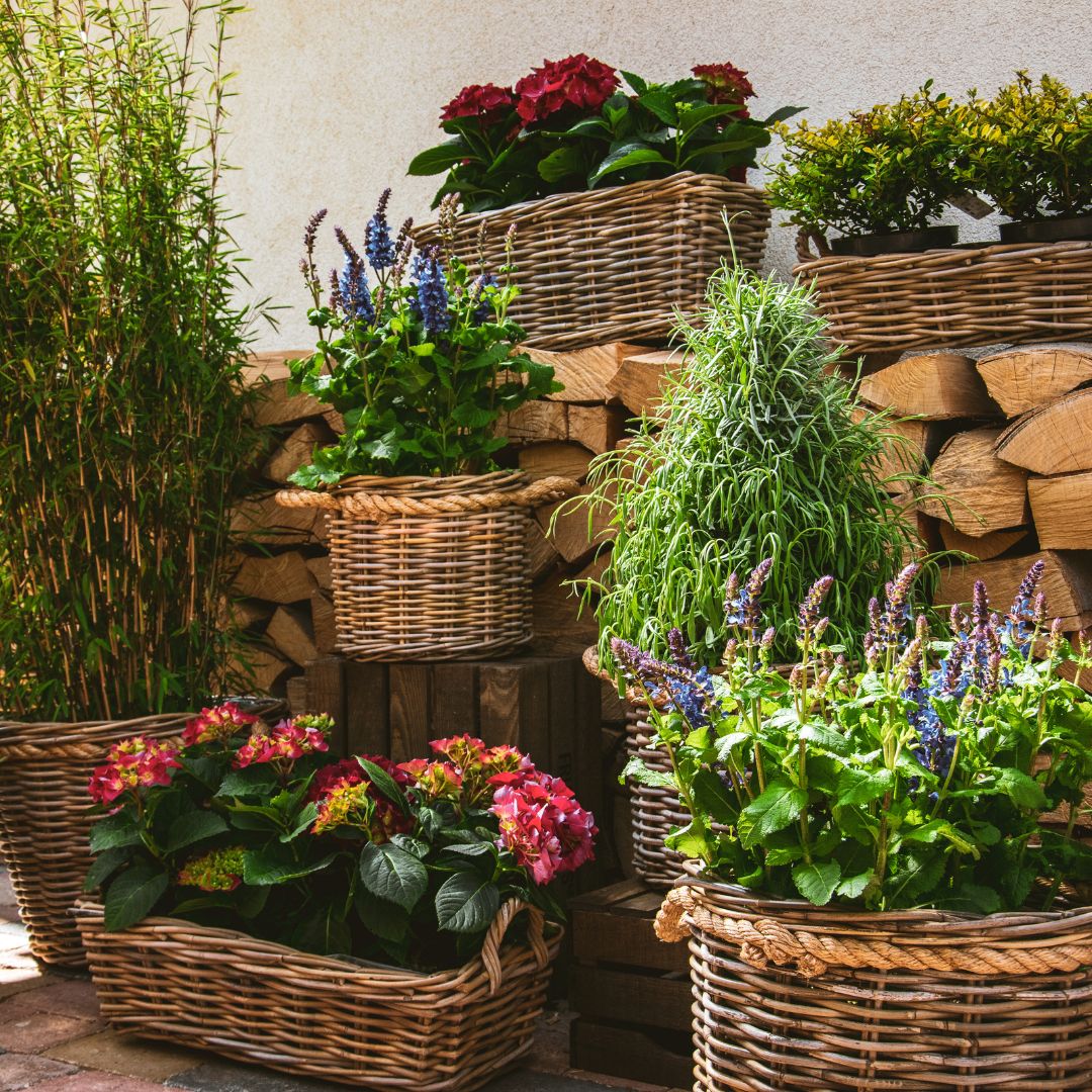 Artevasi: kvalita a design v květináčích