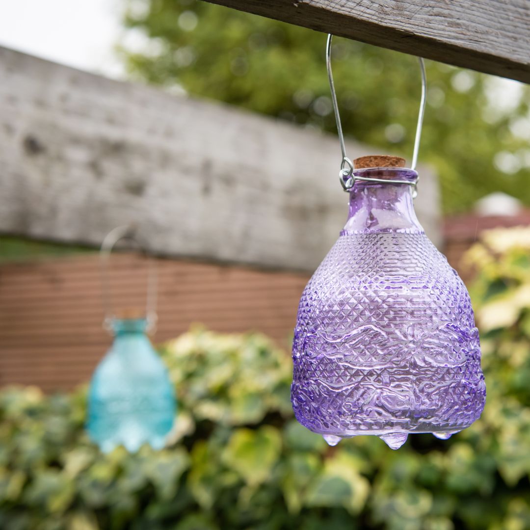 Lapač hmyzu na balkon