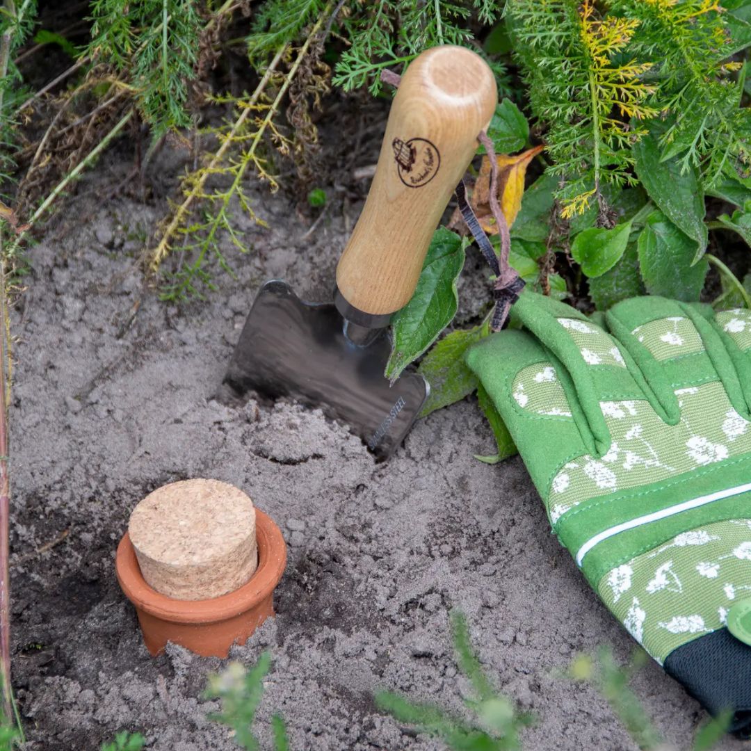 Olla pro zavlažování rostlin