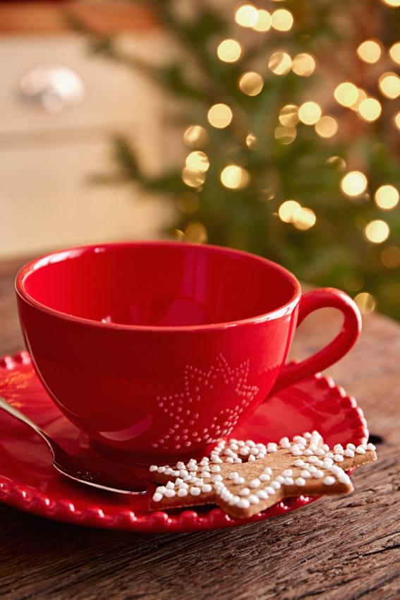 Zdobení perníčků bílou polevou