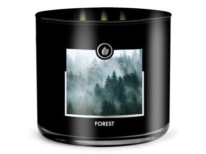 Svíčka MENS COLLECTION 0,41 KG FOREST, aromatická v dóze, 3 knoty|GOOSE CREEK