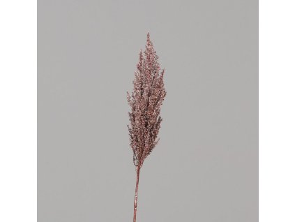 ZDP 25208 31