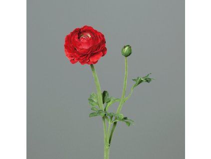 ZDP 43578 02