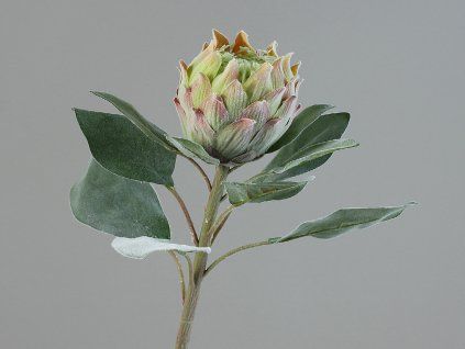 ZDP 42984 01