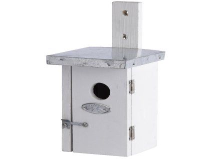 ZEE NK38W