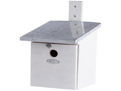 ZEE NK40W
