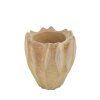 ZVL 304138