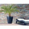 ZAP 812107 003