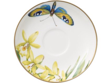 24138 podsalka 12 cm amazonia anmut