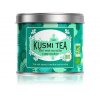 17100 cucumber mint bio zeleny caj 100 g kusmi