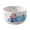 VB 1486801970 DisneyFrozen mono fs single