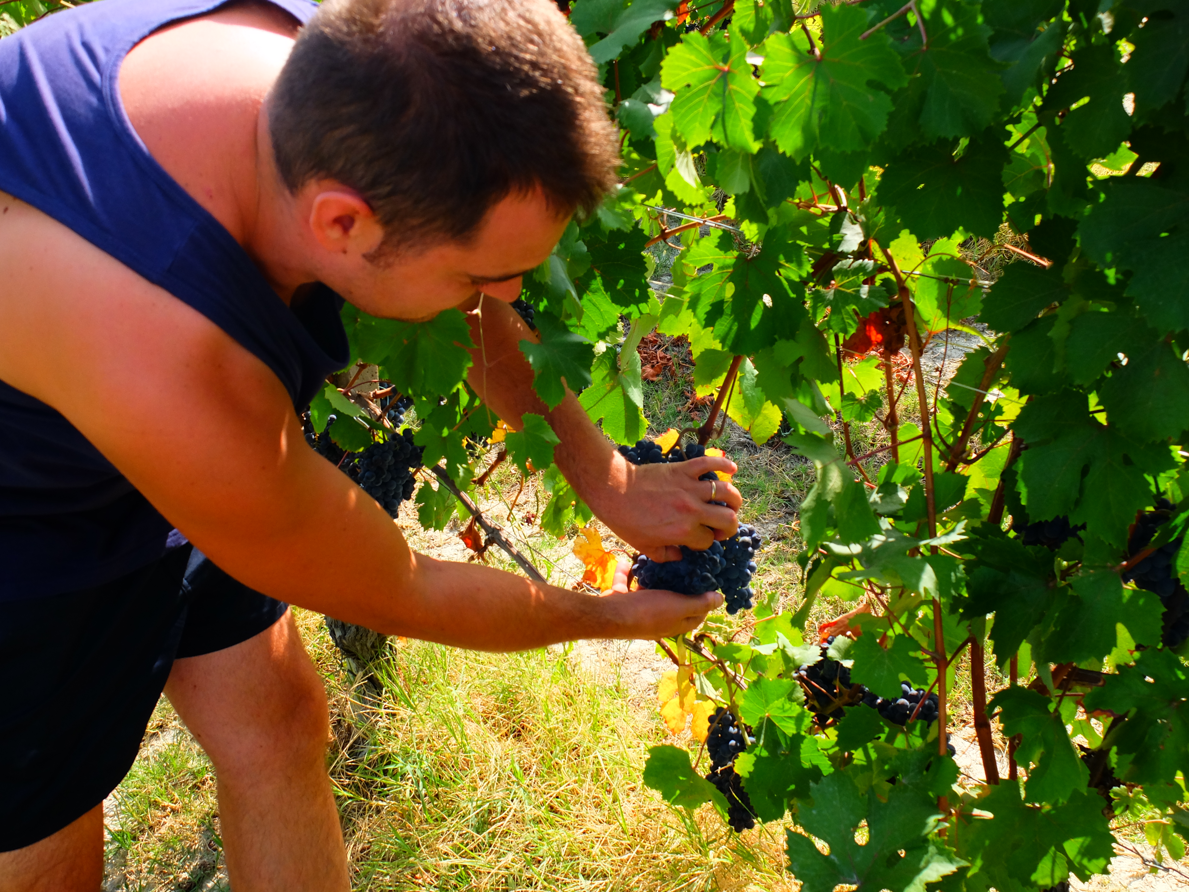 Kterak nebýt prorokem