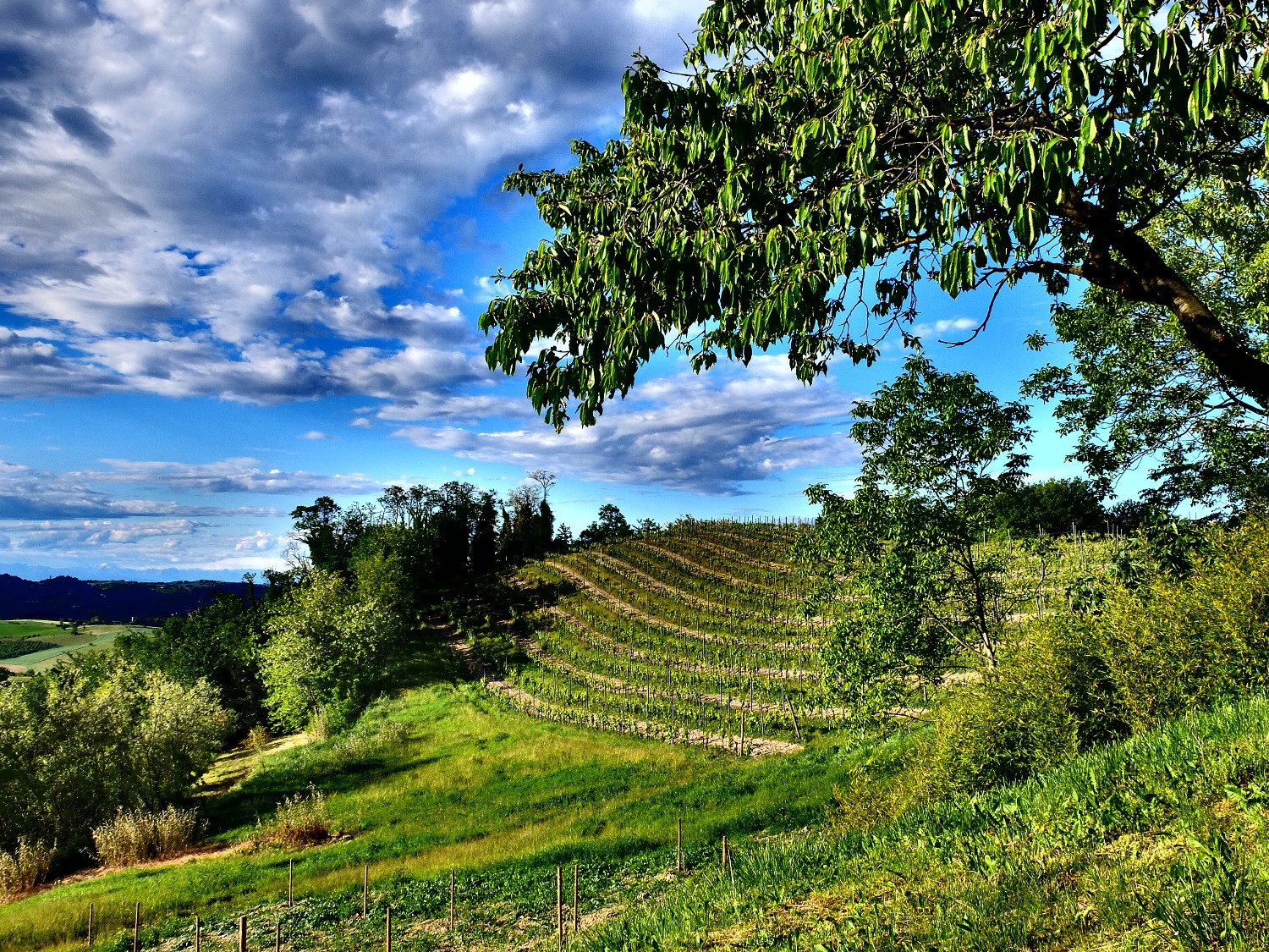 Řízený chaos vs. chaotická disciplína
