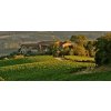 CHARDONNAY ORGANIC  Vitalonga Umbrie