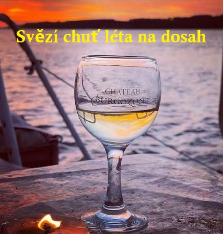 Léto Burgozone