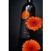 orange wine