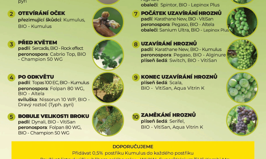 Plán postrekovania a všetko o postrekoch