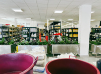 Fotogaléria