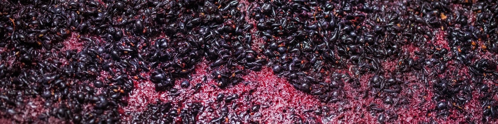 taniny_vino_aplikace_cervene_rmut