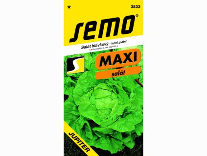 30084bd3059caf0dfb0c8e0e1e1995e6 2131248 029171p003833salat hlavkovy jupitermaxiqjpg