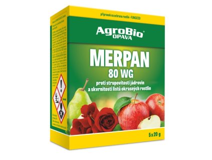 Snímek obrazovky 2026 01 20 085533