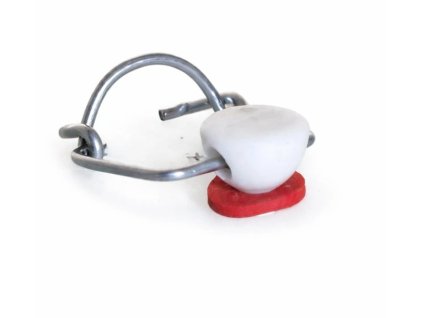 Snímek obrazovky 2026 01 28 142111