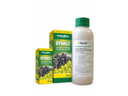 1509a520 8b92 44a6 a7e7 c1f3bf806b12