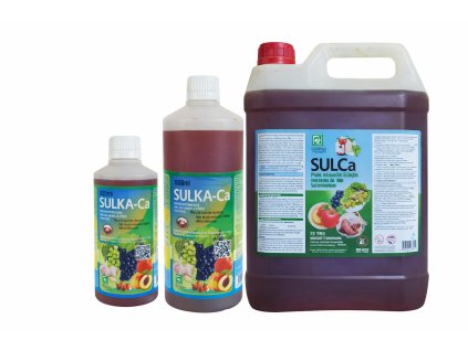 fe09b9d0 ef1f 4af8 bf18 5ed53ac969ec