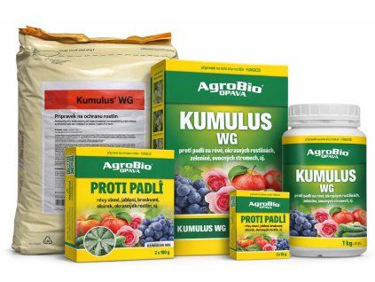 686691e5 2888 4217 8e60 e289ed285406