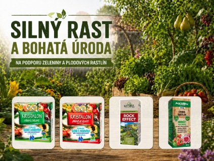 Silný růst a bohatá úroda