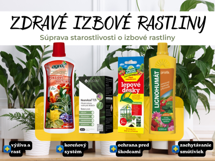 Zdravé pokojovky