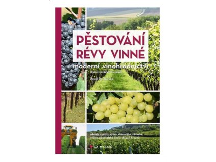 Pěstování révy vinné