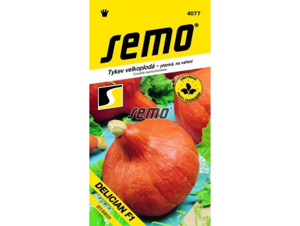 Tykev velkoplodá Delician F1