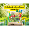 Bylinková zahrádka od semínka