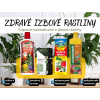 Zdravé pokojovky