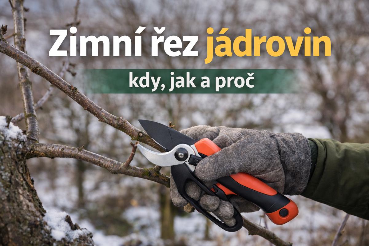 Zimní řez jádrovin: kdy, jak a proč?