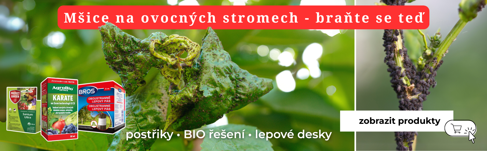 Ochrana proti mšicím na rostlinách - braňte se teď