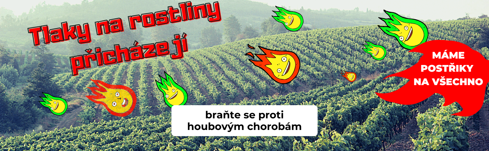 Tlaky na rostliny přicházejí - houbové choroby - braňte se
