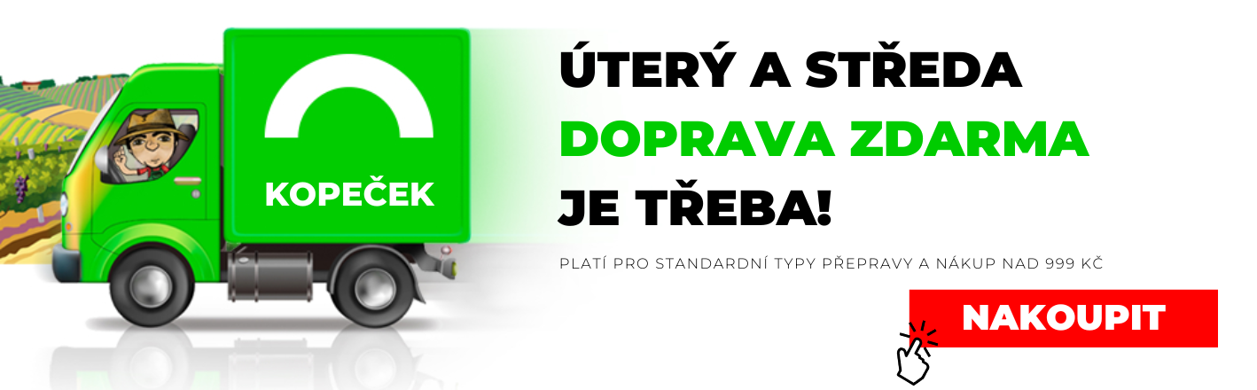 Dnes je doprava zdarma!