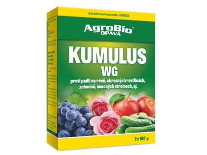 KUMULUS