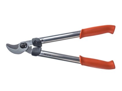 Snímek obrazovky 2026 02 17 071935