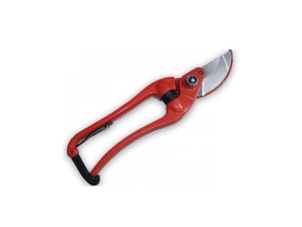 Snímek obrazovky 2026 01 05 124240